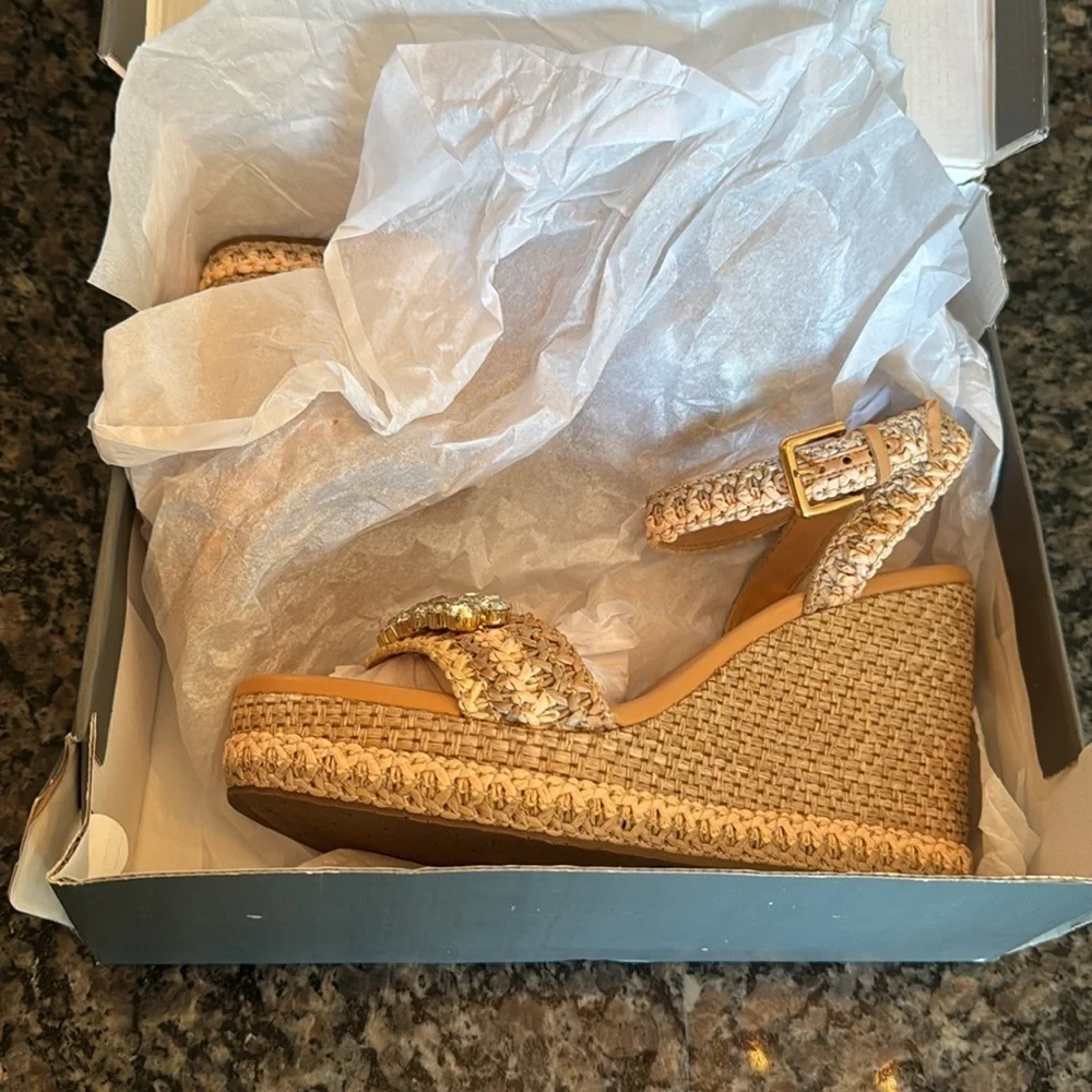 Arezzo Women's Tan Wedge platform Sandals NIB 9
